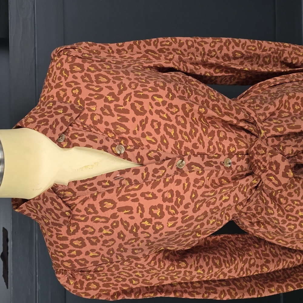 Leopard Print Button-Up Dress - Picture 2 of 8